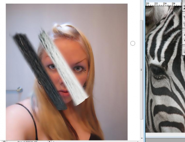 Creation of Zebra Girl: Step 3